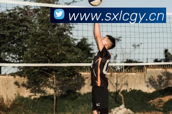 九游会官网网站:畅游游戏世界的最佳选择品牌故事